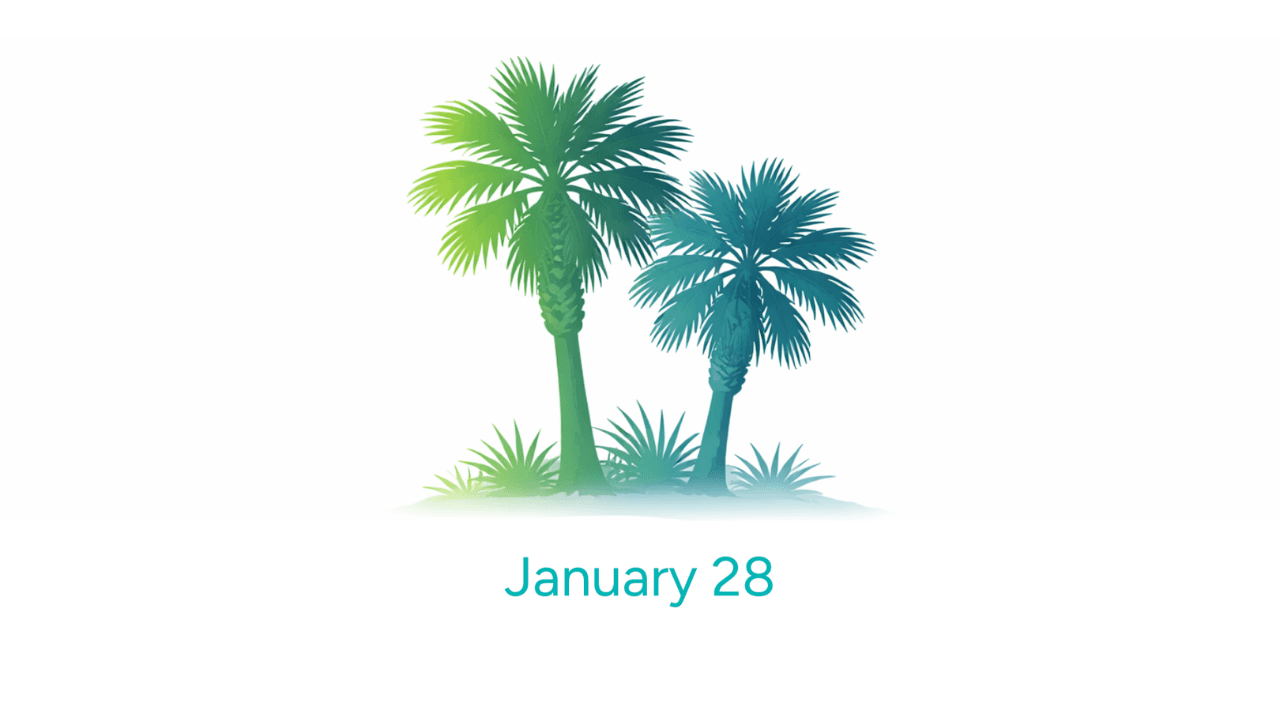 Wednesday - Image 1