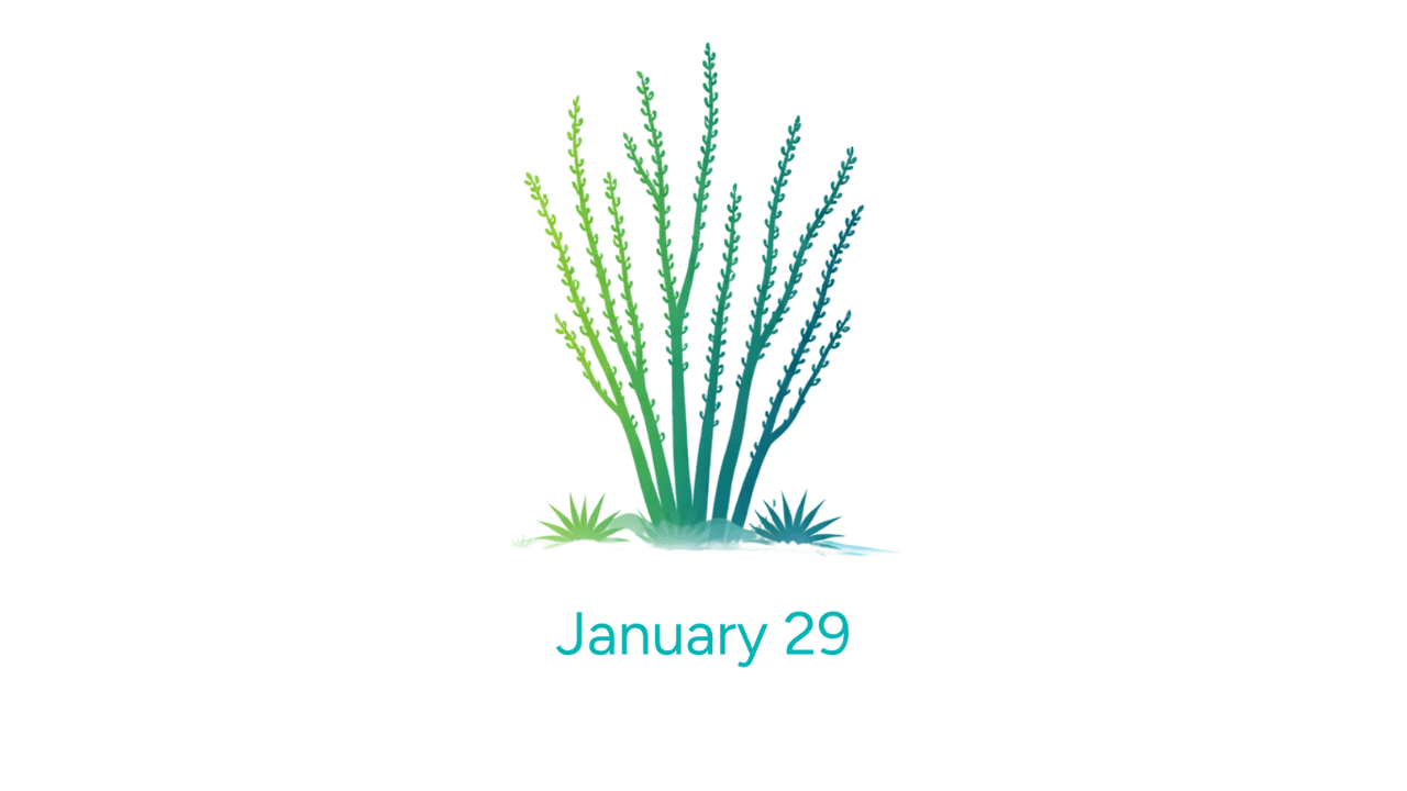 Thursday - Image 1
